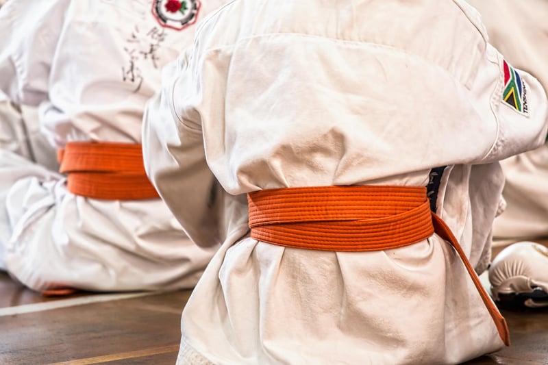 Taekwondo discipline